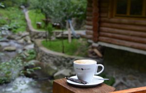 Valea Paradisului cafea